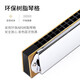 Orientaler Dingakzent Mundharmonika 21 Loch importiert Gong T2110 Performance Level 12 Töne für Anfänger und Studenten professionelle Musikinstrumente D Tune