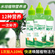 Flower Master Hydroponic Plant Special Nutrient Solution Lucky Bamboo Transfer Bamboo Brazilian Wood Tulip Pothos Copper Money Grass General Fertilizer Hydroponic Nutrient Solution 240ml 92% Household Purchase 2 Bottles