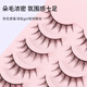 Beautiful Skin Language Hard Stalk Comic Little Devil False Eyelashes Natural Simulation of Thick Big Eyes Full Section Eyelashes MF8525