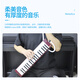 雅马哈（YAMAHA）口风琴P-37D教学娱乐37键儿童学生音乐玩具初学入门启蒙乐器 P-37D