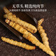 Xueyuantang cordyceps sinensis целый насекомые сломанная трава Аутентичные Cordyceps Выбранные тонические продукты Плато Cordyceps Целые насекомого китайское лекарственное тонизированное продукты около 0,3 г/корень (целая сломанная трава насекомых)