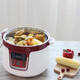 Tianji water-proof electric stew pot ceramic large-capacity household 304 stainless steel stew pot fully automatic soup pot with four pots, equipped with 304 stainless steel steamer, one pot with four pots, 3.2L 304 stainless steel, glass lid, with ceramic steam grid