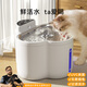 HIPIDOG NOUVEAU CAT DISTRANSE DE L'EAU CONTUNÉE TEMPÉRATION CHAUT MACHINE CAT AUTRE ANTÉRIEUR PET AUTOMATIQUE AUTOMATIQUE DISTRONNEMENT D'EAU DISTRANS