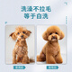 LAIWANG Brothers Secador de cabello para mascotas y perros Bañándose cabello soplando agua Máquina de soplado Secadora PD-9900 Blanco