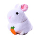 Weltston Plush Toy Doll Dolls Dolls Gird Girl Girl Girl Girl pour se moquer du petit lapin blanc