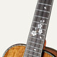 Aichi Sound (Realsun) Siying Acacia mu Vollting Single Ukulele Uklili Little Gitarre Anfänger Erwachsene Sanging Advanced Piano 26-Zoll-SIYY-Elektro-Box-Ausgabe (mit Klavierkoffer)