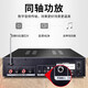 HYUNDAI现代家庭影院ktv音响套装家用k歌电脑电视客厅卡拉ok全套会议室卡包店铺专业功放音箱设备 【经典版】10吋音响套装
