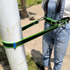 National standard thickened electrician's safety belt power belt climbing telephone pole outdoor tree anti-fall fence safety belt national standard electrician's belt_double hook black extended version