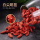 
Xiemu Pang Donglai wolfberry purchasing authentic Ningxia special first-grade wolfberry sulfur-free free washing Zhongning wolfberry soaked in water health tea DL preferred special grade + 250 grams of large fruit [1 can]