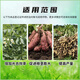 60% Choline Chloride Garlic Growth Regulating Sweet Potato Peanut Potato Growth Regulating Pesticide Pesticide 50ML 10ml*5 Bags Hot Style