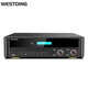 Westin Home KTV Amplificador High Power Card Pack Audio Karaoke Stage Stage Bluetooth Amplificador conectado RX-300