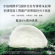 小仙炖鲜炖燕窝 小鲜瓶45g 营养滋补 长辈孕妇礼品 鲜享 周套餐45g*7瓶-冰糖