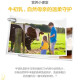 汤臣倍健 牛初乳粉60袋 富含免疫球蛋白 增强免疫力提高抵抗力