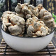 Moyuan Panax Notoginseng Materiales medicinales chinos Yunnan Wenshan Authentic Panax Notoginseng Root 20tina 7 Fresco Raw Panax Notoginseng Polvo de vino no silvestre [20 Panax Notoginseng] 250G