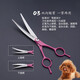Zhizhou pet grooming scissors, dog hair tool set, 7-inch trimming scissors, curved scissors, Teddy cat and dog pet scissors, rose red straight scissors + curling scissors + dental scissors + steel comb + bag