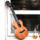 Gerila sakura ukulele 2011 Mädchen süße Anfänger kleine Gitarre Schaufel Uklili hochpräziser 23-Zoll-Schaufel Gebiscus Holzfarbe Elektrobox + Accessoires Unterricht