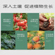 Stanley San'an 19-19-19 fertilizer oil-flowing universal compound fertilizer flower fertilizer melons, fruits, vegetables and aquatic products original ten Jin Jin equal to 0.5 kg sub-package trial genuine guarantee