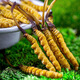 
[Tibet Straight Hair] Authentic First Fresh Cordyceps 2025 Selected High Altitude Fresh Cordyceps SF Cold Chain 0.5-0.6g/root 100 Roots