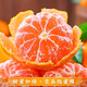 京地达浙江临海涌泉蜜桔新鲜水果橘子桔子重9.2斤单果65mm源头直发包邮