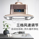 Koreanisch Mahjong Leichtes Schach und Kartenraum Luft Raucherreiniger Fernbedienung Automatisch Heben Kronleuchter Smart Home Reinifikation Leuchte Big Five Lamps_Champagne Gold (mit Display -Bildschirm)