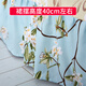 Bedspread, bed skirt type bed cover, single piece dustproof protective cover, summer bed sheet, mattress fitted sheet, all-inclusive anti-slip, strong affection, bed skirt 1.2x2.0m