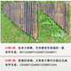 Fenghai famous artist Xiao musical instrument professional pan flute 25 tube g tune purple bamboo playing level pan flute instrument 25 Miao pan flute universal direct sales professional 25 tube G tune + grand gift