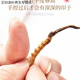 Ivanmai Authentic Cordyceps Cordyceps Cordyceps Cordyceps non-cut grass tube-installed with extra large root gift box Yivanmai Two bottles of 10 pieces are given one bottle up to 15 pieces