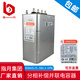 ZHIYUE BSMJ0.25-20-3YN self-healing low-voltage parallel sub-compensation capacitor 0.25-10-3YN BSMJ0.25-3X10-3YN