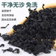 全干裙带菜 小海带菜免洗无沙 免切免洗100g*1袋