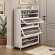 Cabinet à chaussures à chaussures à poussière de la maison
