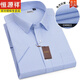 
Hengyuanxiang [Bamboo Fiber] Men's Short Sleeve Shirt 2024 Summer New Easy-to-Take Shirt Professional Formal Top [Sales 500+] DX6636 38