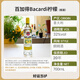 Bacardi White Oak Heart Gold 8 ans Rum noir boulangers Mojito Mojito750m [Bacardi Lemon] * 700 ml 1 bouteille