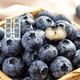 Full box of Peruvian Big Mac blueberries 125g*6 boxes 22mm