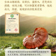 
Beijing Tongrentang Break Wall Ganoderma lucidum Spore Powder Enhances Immunity Nutritional Products Ganoderma lucidum Powder 4 Boxes 120g [Dragon Boat Festival Gift Box to Elders]
