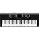 Terence Electronic Piano Erwachsene Kinder 61 Schlüsselanfänger spielen multifunktionale tragbare Musikinstrumente Vatertag Geschenke Kaufen Sie Tausende von Menschen klassisches Schwarz + Luxusgeschenke