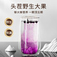 La caja de regalo de Wolfberry Black Wolfberry de Chuangdi de Chuangdi, el regalo práctico de cumpleaños de los ancianos, consulte los suplementos de salud de los padres para nutrir y nutrir