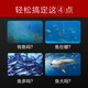 乐琦无线声纳探鱼器超声波探测找鱼器水下摄像头渔具用品