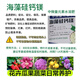5斤海藻硅钙镁中微量元素肥钙镁硼锌铁叶面水溶复合肥料农用园艺 海藻硅钙镁 中微量元素肥5斤 园艺肥料