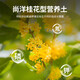 Shangyang Osmanthus nutritious soil 8L home gardening flower soil flower plant planting soil granular soil organic soil