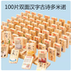 Magical Rotation Domino 50 comprimés Emballage 100 comprimés Pack Literacy Toys's Toys Baby Baby Early Education Building Blocs Toys 100 comprimés Domino de caractère chinois double face Domino