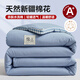 Jieliya Class A antibacterial fabric 51% Xinjiang cotton fiber is about 6 Jin [Jin equals 0.5 kg] 200*230cm light blue grid
