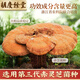 
Hu Qingyutang Broken Wall Ganoderma Lucidum Spore Powder Capsule Blue Cap Certification Enhances Immune Nutrition Easy to Absorb 0.35g*60 Caps/Bottle Two Bottles [One Gift Bag]