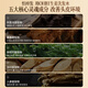 
OHBT ginger oil-controlled shampoo 500g, hair-controlled oil-controlled shampoo