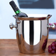 Mai Qixiang's creative thickened stainless steel red wine ice bucket for ice special champagne beer bucket bar ktv ice bucket commercial horn ice bucket /5L silver