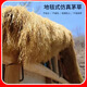 Elegant simulated thatch insulation plastic fur straw roof straw farmhouse scenic pavilion courtyard carpet style decorative fake tiles straw yellow encrypted style thermal insulation and flame retardant / 1 meter wide * 1 meter