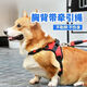 PPO dog leash vest type dog walking rope Teddy Corgi dog leash medium-sized dog small dog pet harness chest harness + 2 meters rope red S code suitable for 10-18 Jin Jin is equal to 0.5 kg.