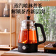 Royalstar tea kettle, health kettle, spray type kettle, kettle, electric kettle, steaming tea kettle, tea steamer, tea kettle, stove to make tea, 1L thermal insulation type