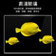 Changjiong transparent heiß gebogene rechteckige ultra-weiße Glas Goldfischtank Tropical Fish Tank Aquarium kleine und mittelgroße Landschaftsgestaltung ökologischer Fischtank 20*14*16 Standard-Set