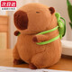 
Panda Bear Kapibala Doll Doll Plush Toy Ragdoll Girl Birthday Gift Girl Capybara Lulu Grooster Doll