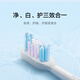 Mijia Xiaomi Sonic Electric Toothbrush Head (Full Effect Bright White Type) 2 Pack Black